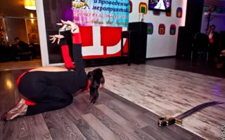 Благотворительная вечеринка «Happy People» в «Party bar 13»